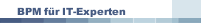 BPM f&uuml;r IT-Experten