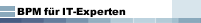 BPM f&uuml;r IT-Experten